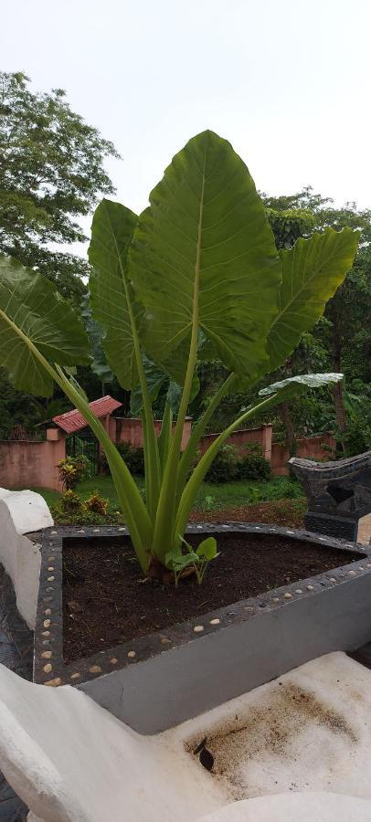 El Castillo Monte Campana Villa Puntarenas Eksteriør bilde